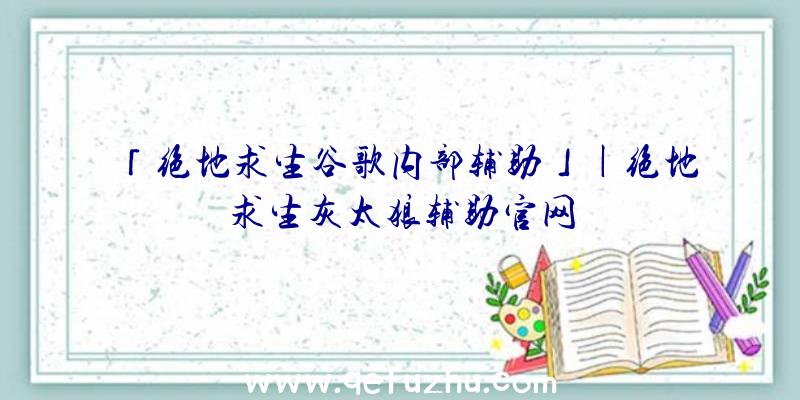 「绝地求生谷歌内部辅助」|绝地求生灰太狼辅助官网